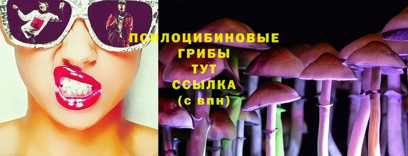 Галлюциногенные грибы Cubensis  Агрыз 