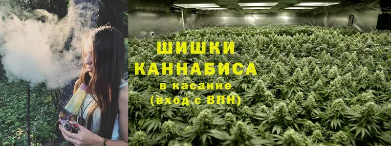 Бошки марихуана SATIVA & INDICA  Агрыз 